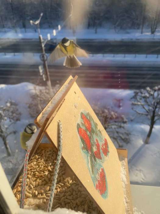 Фотография покупателя товара Кормушка-конструктор из ХДФ для птиц «Терция» своими руками, 16 × 18 × 23 см, Greengo - Фото 8