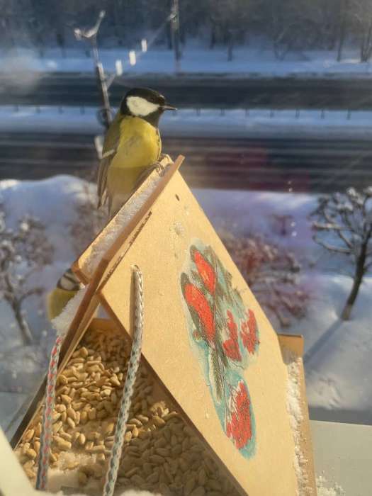 Фотография покупателя товара Кормушка-конструктор из ХДФ для птиц «Терция» своими руками, 16 × 18 × 23 см, Greengo