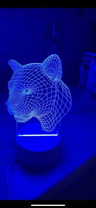Фотография покупателя товара Светильник "Пантера" LED RGB от сети RISALUX - Фото 4
