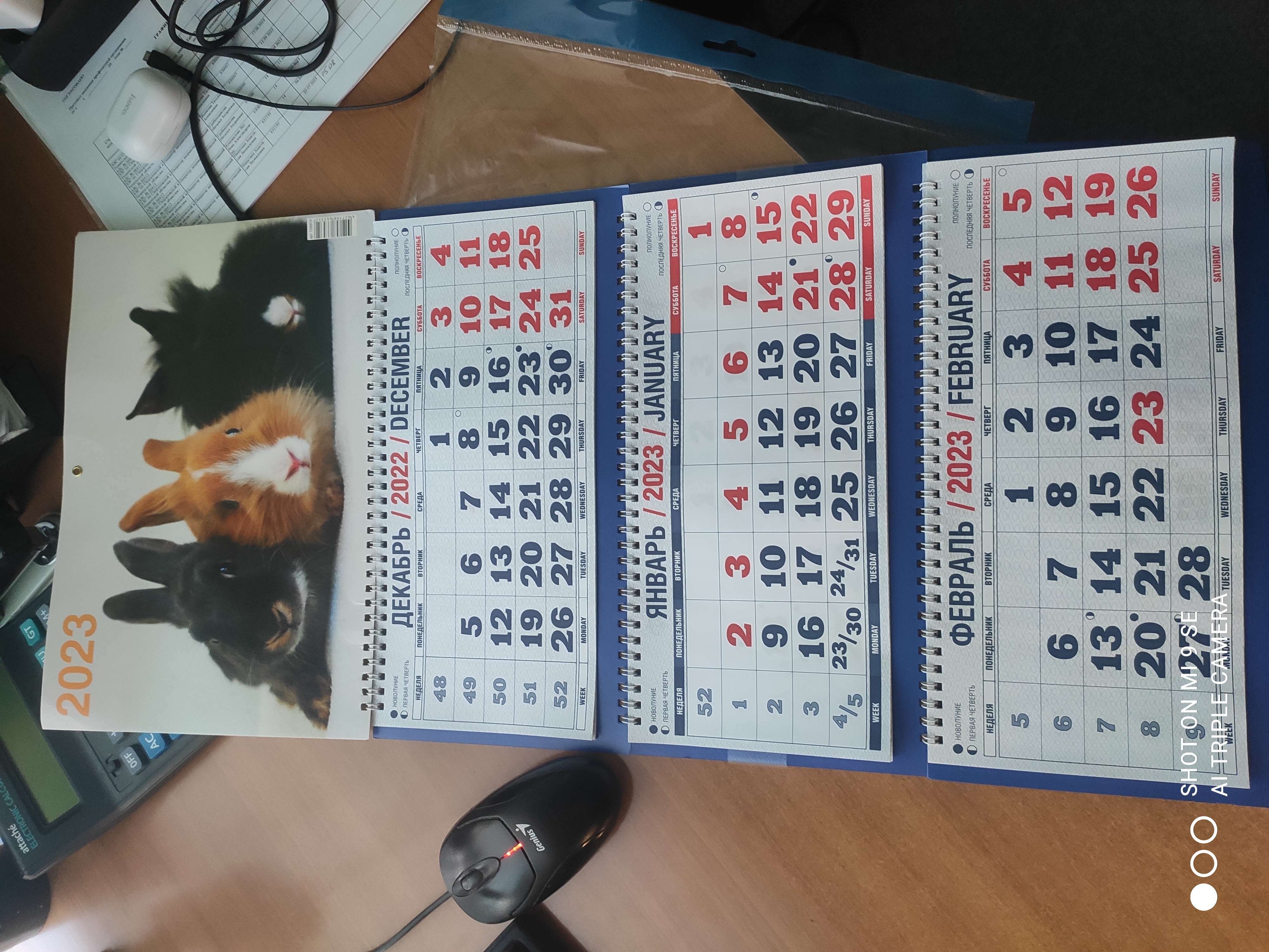 Фотография покупателя товара Календарь квартальный, трио "Символ Года - 19" 2023 год, 31х69см - Фото 2