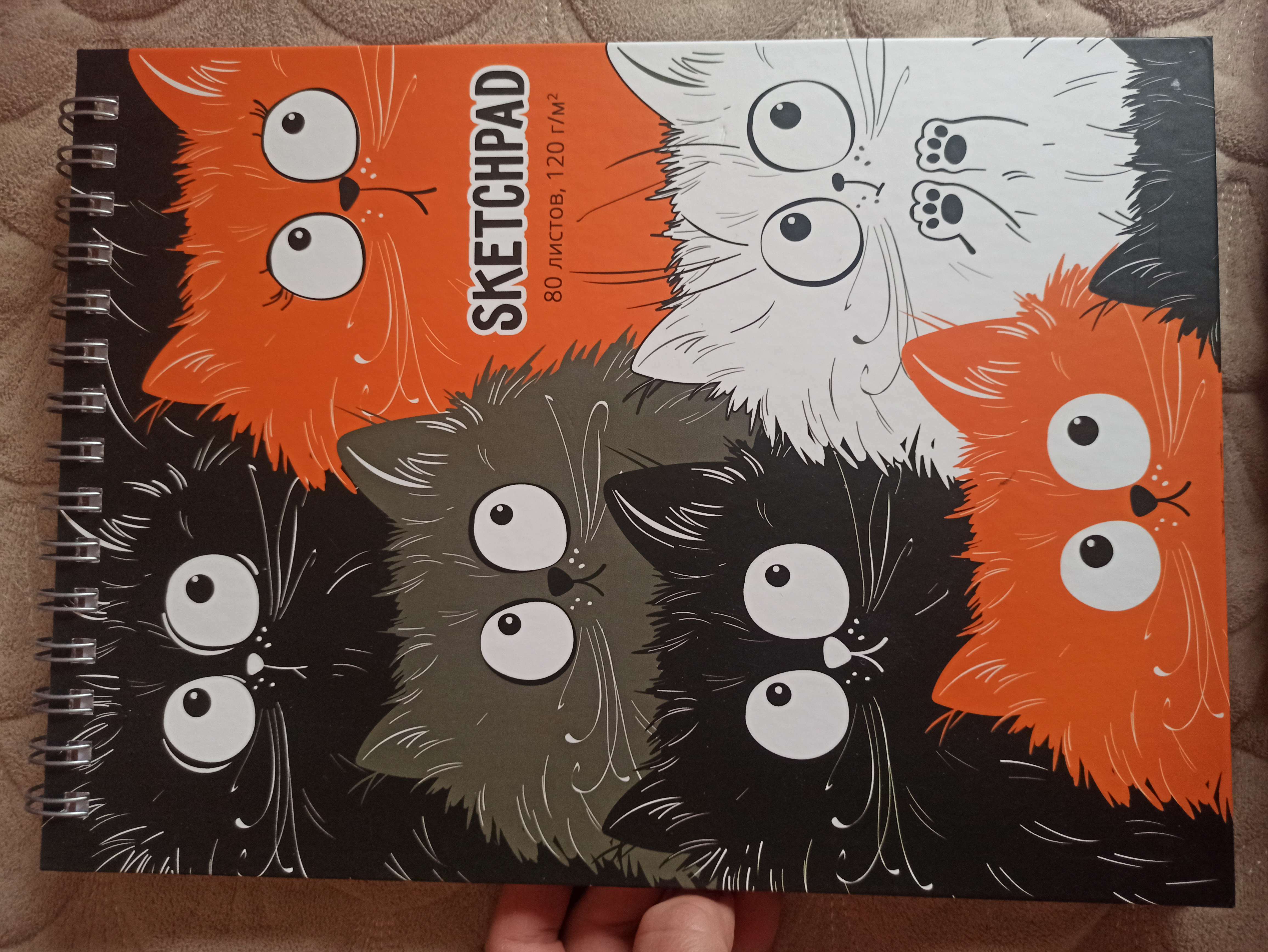 Фотография покупателя товара Скетчпад А4, 80 листов на гребне "Смешные котики", твёрдая обложка, матовая ламинация, блок 120 г/м2 - Фото 1