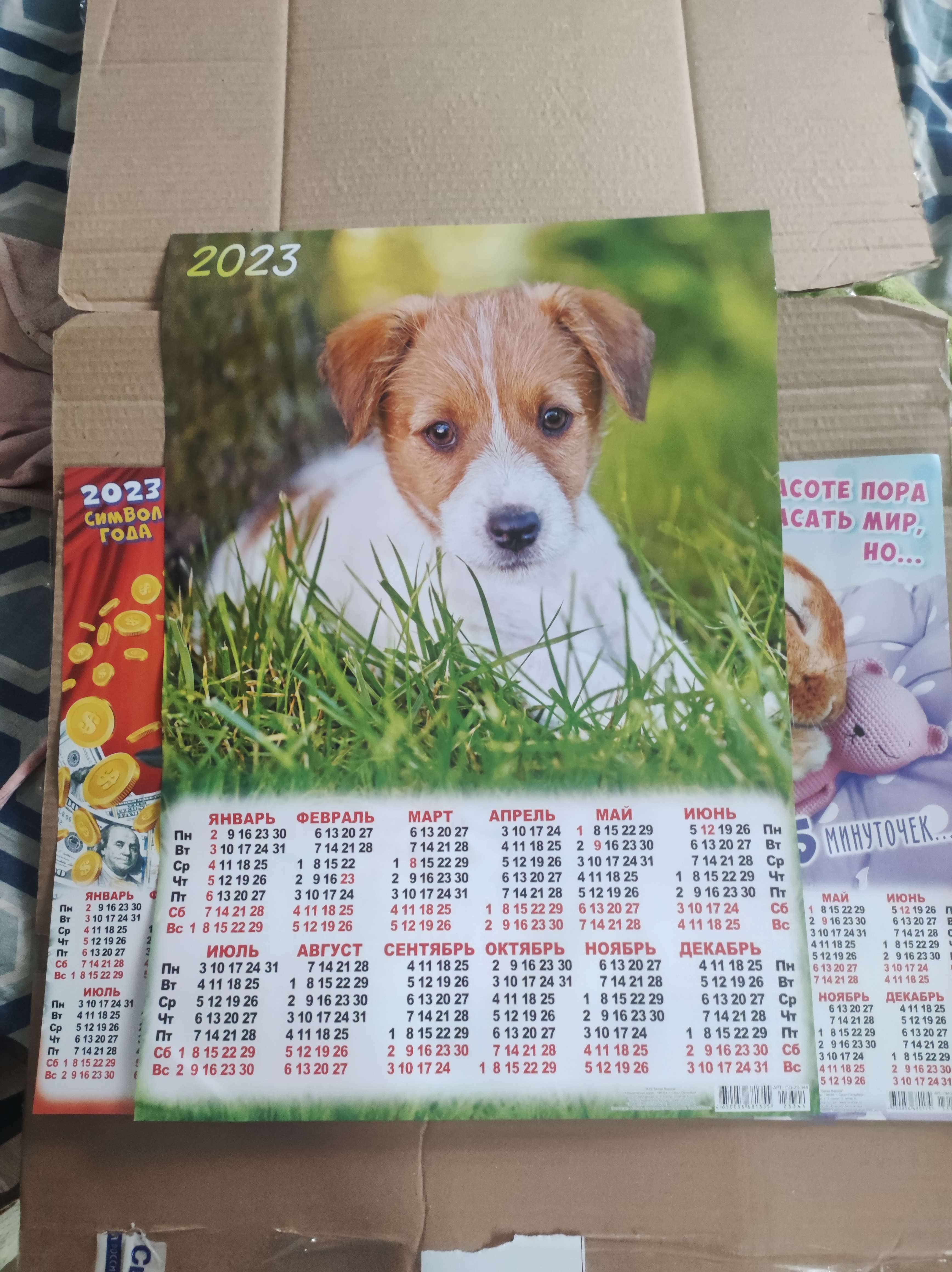 Фотография покупателя товара Календарь листовой "Собаки 2023 - 3" 2023 год, бумага, А2 - Фото 1