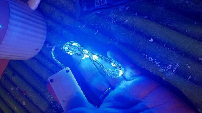 Фотография покупателя товара Гирлянда «Нить» 1 м роса, IP20, серебристая нить, 10 LED, свечение синее, CR2032х2 - Фото 1