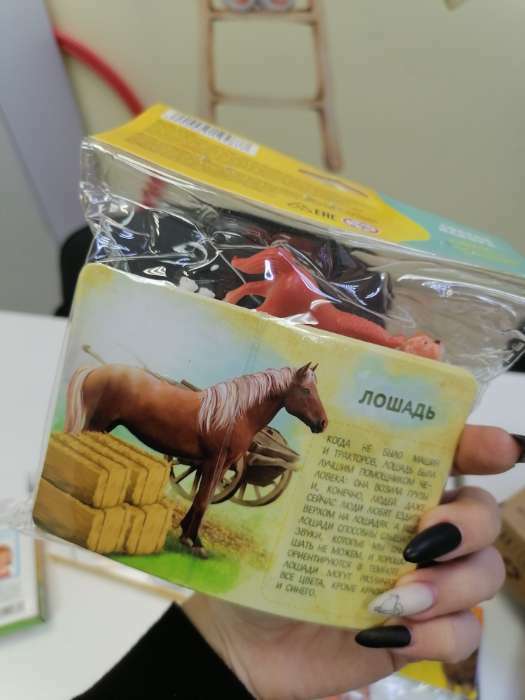 Фотография покупателя товара Набор животных с обучающими карточками «Фермерское хозяйство», животные пластик, карточки, по методике Монтессори