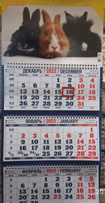 Фотография покупателя товара Календарь квартальный, трио "Символ Года - 19" 2023 год, 31х69см - Фото 1