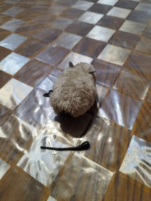Фотография покупателя товара Мышь заводная меховая малая, 8,5 см, серая - Фото 9