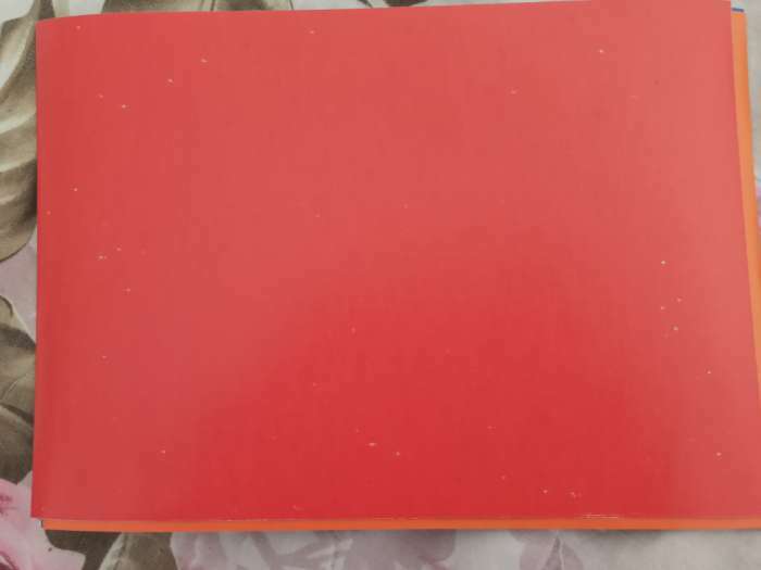Фотография покупателя товара Набор "Коты Аристократы" А4: 8л цветного одностороннего картона + 8л цветной двусторонней бумаги - Фото 2