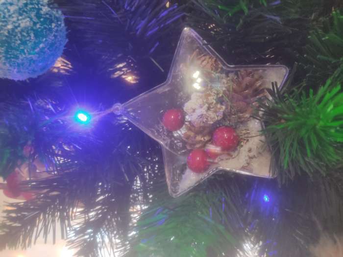 Фотография покупателя товара Новогодняя подвеска с природным декором «Снежная звезда» - Фото 3