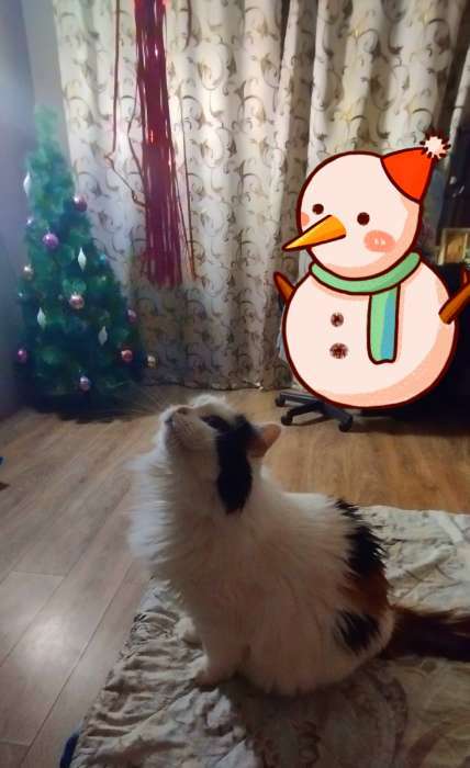 Фотография покупателя товара Дразнилка для кошек с бубенчиком "Новогодняя ёлка", 30 см - Фото 2