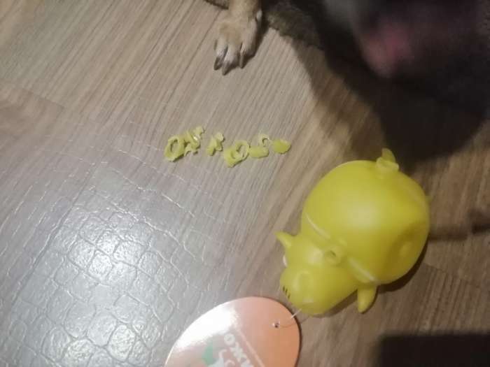 Фотография покупателя товара Игрушка пищащая "Собакомяч" для собак, 10 см, жёлтая - Фото 2