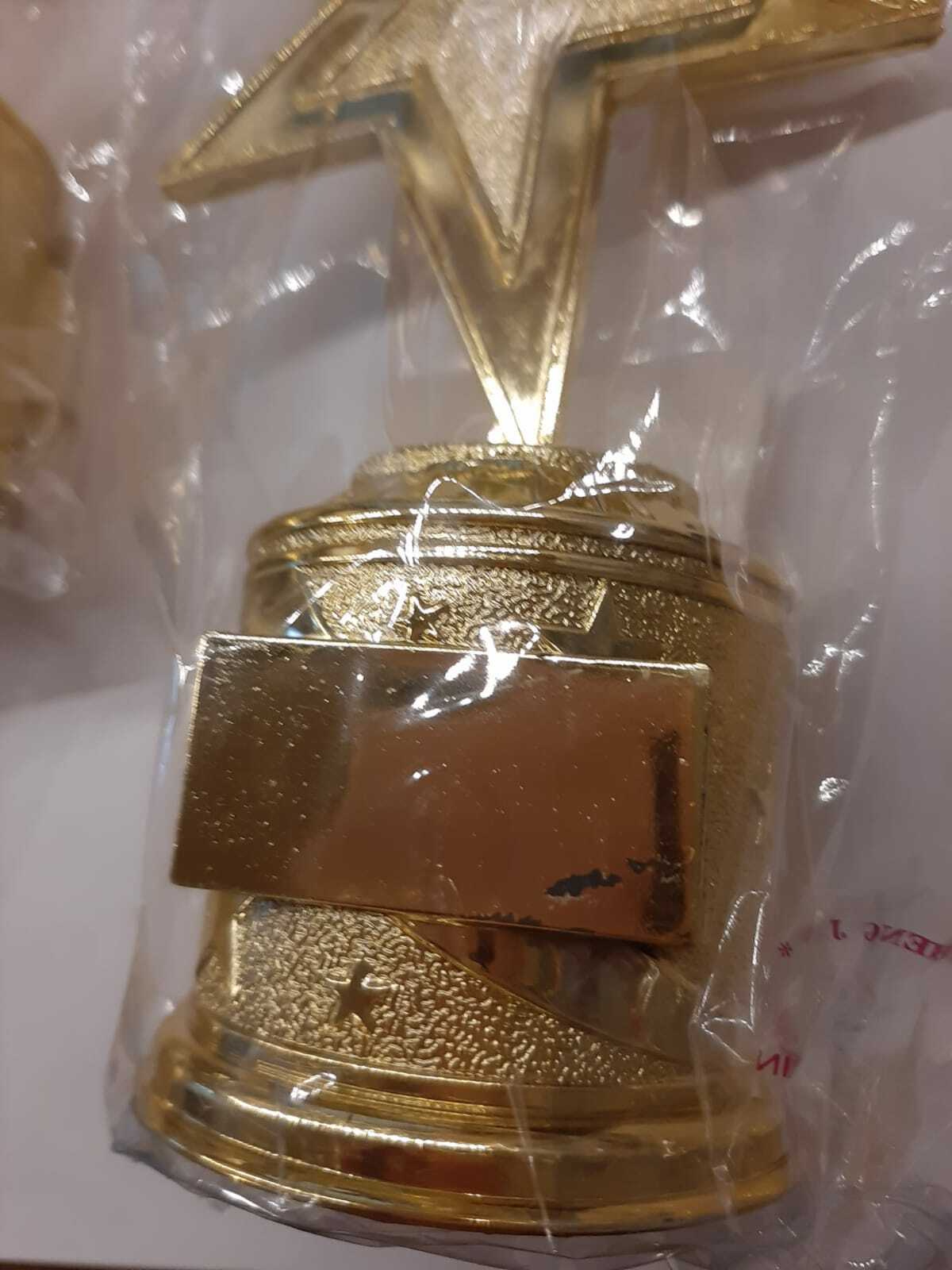 Фотография покупателя товара Наградная фигура литая под нанесение «Звезда», золото, 16 х 6 х 8,5 см - Фото 10