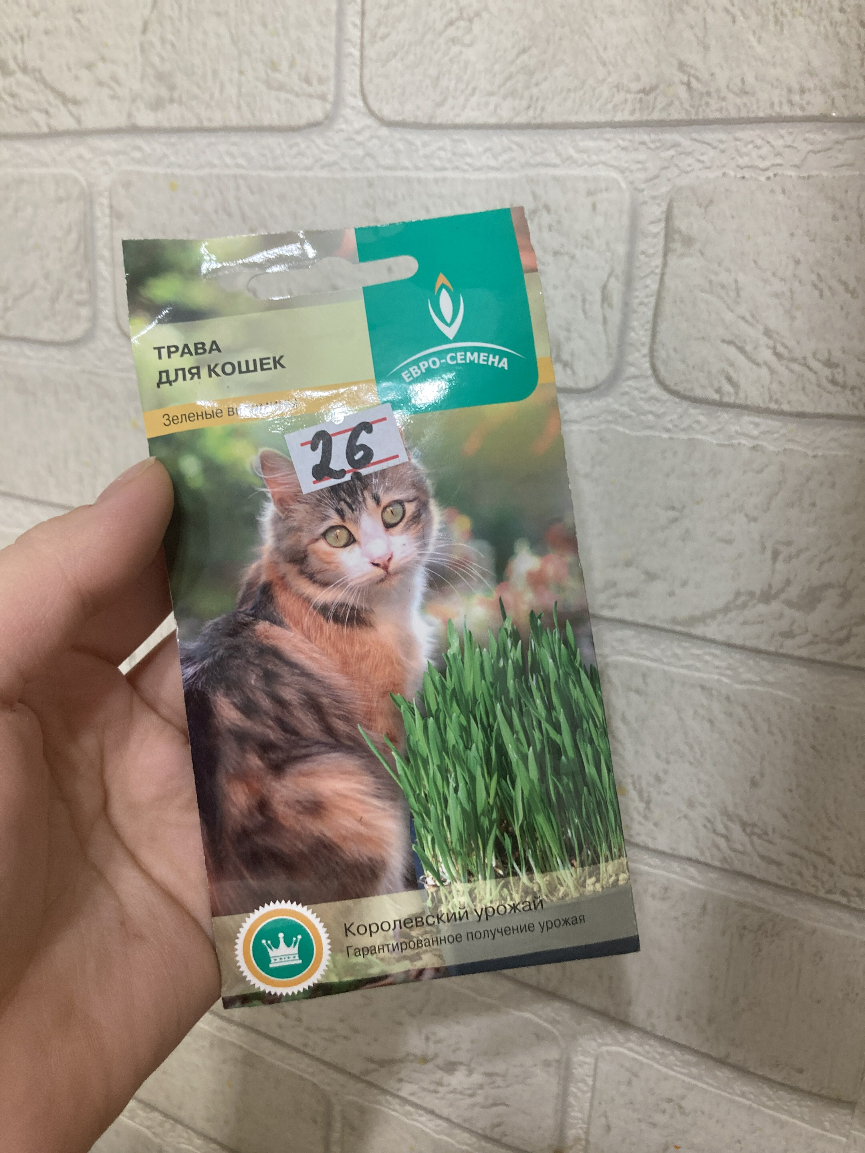 Фотография покупателя товара Семена Трава для кошек, 10 г - Фото 19