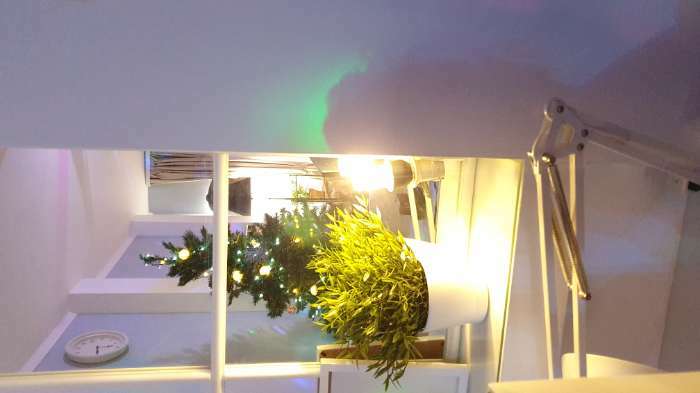 Фотография покупателя товара Лампа светодиодная Строб, прозрачная, Е27, 4LED, 3 Вт, 220 В, синее свечение - Фото 1