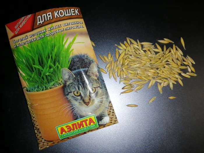 Фотография покупателя товара Семена "Трава для кошек", ц/п, 20 г