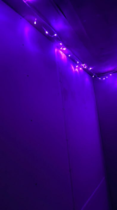 Фотография покупателя товара Гирлянда «Нить» 10 м, IP20, прозрачная нить, 100 LED, свечение фиолетовое, 8 режимов, 220 В - Фото 32