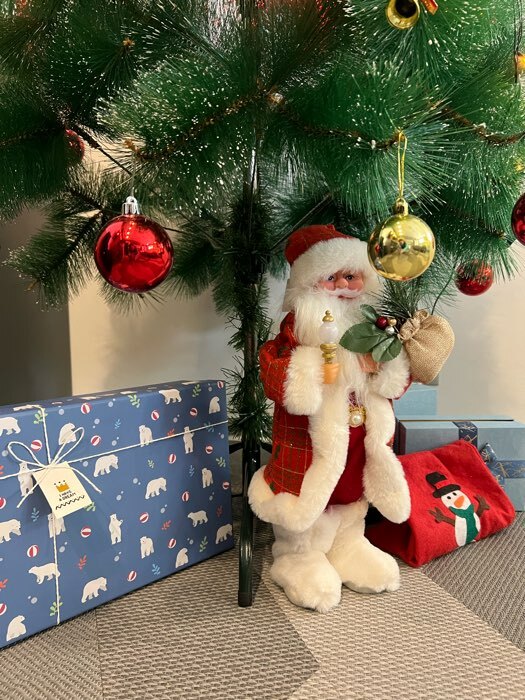 Фотография покупателя товара Дед Мороз "В красной шубе с подарками" двигается, 40 см - Фото 1