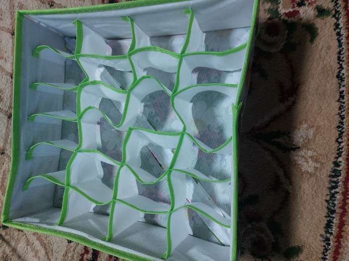 Фотография покупателя товара Органайзер для хранения белья Доляна «Божьи коровки», 8 ячеек, 28×14×10 см, цвет зелёный - Фото 2