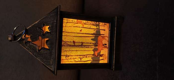 Фотография покупателя товара Светодиодная фигура «Фонарь с оленем» 6 × 13 × 6 см, пластик, батарейки AG13х3, свечение тёплое белое - Фото 7