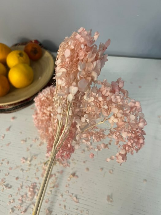 Фотография покупателя товара Сухоцвет «Гортензия крупнолистовая», тёмно розовый, 1 веточка 50 - 70 см в упаковке - Фото 4