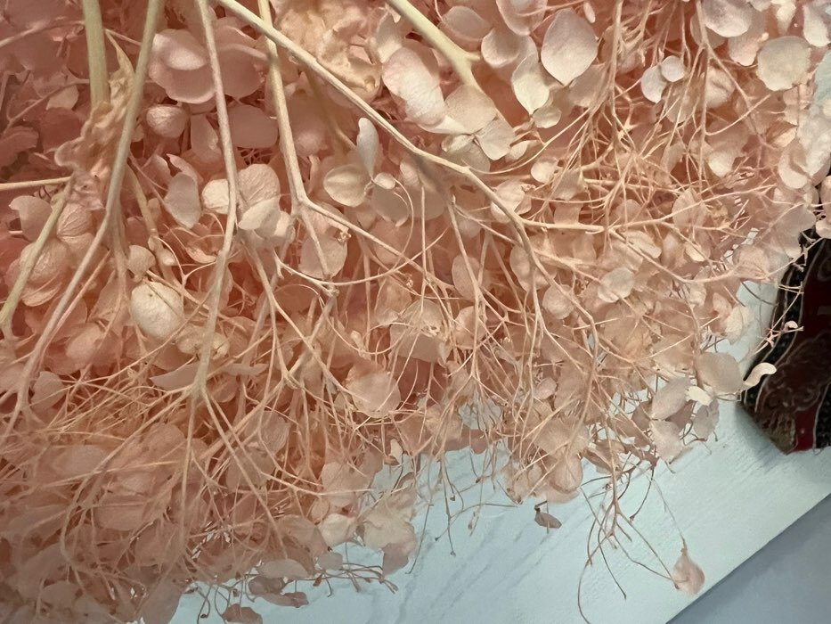 Фотография покупателя товара Сухоцвет «Гортензия крупнолистовая», тёмно розовый, 1 веточка 50 - 70 см в упаковке - Фото 1