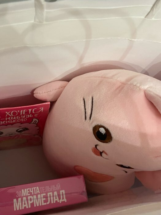 Фотография покупателя товара Мягкая игрушка «Котик с сердечком», цвета МИКС