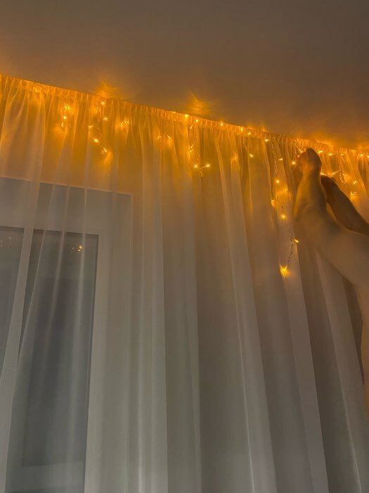 Фотография покупателя товара Гирлянда «Бахрома» 4 × 0.6 м, IP44, тёмная нить, 180 LED, свечение белое, 8 режимов, 220 В - Фото 4