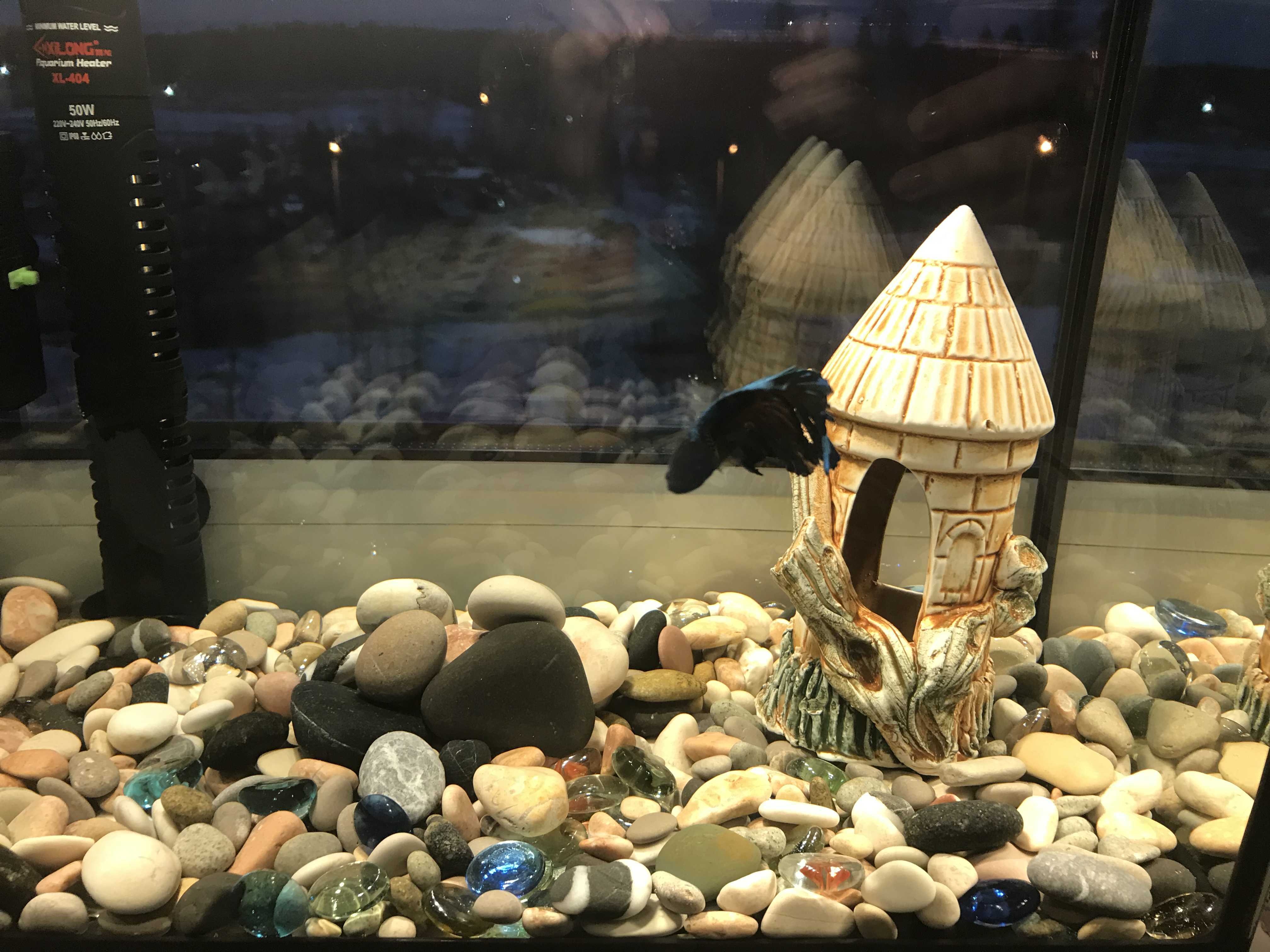 Фотография покупателя товара Декорация для аквариума ''Башня'', 7 х 7 х 15 см, микс - Фото 1