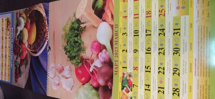 Фотография покупателя товара Календарь перекидной на ригеле "Садово-огородный лунный календарь" 2023 год, 320х480 мм - Фото 3