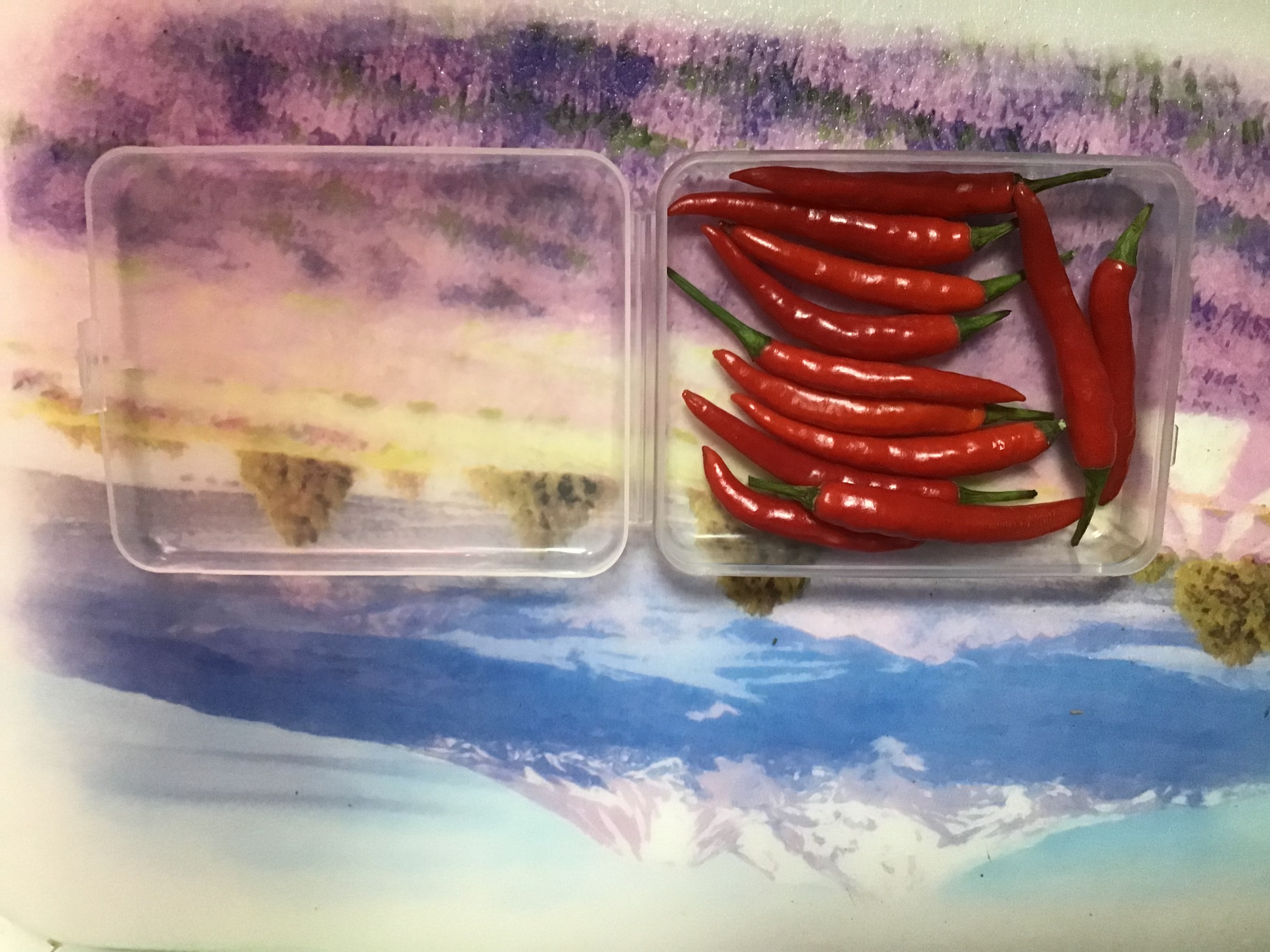Фотография покупателя товара Контейнер для хранения мелочей, 11,5 × 9 × 2,8 см, цвет прозрачный - Фото 6