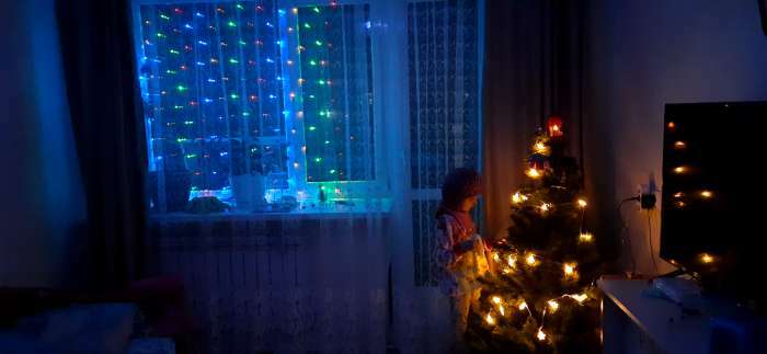 Фотография покупателя товара Гирлянда «Сеть» 2 × 2 м, IP20, тёмная нить, 224 LED, свечение тёплое белое, 8 режимов, 220 В - Фото 4
