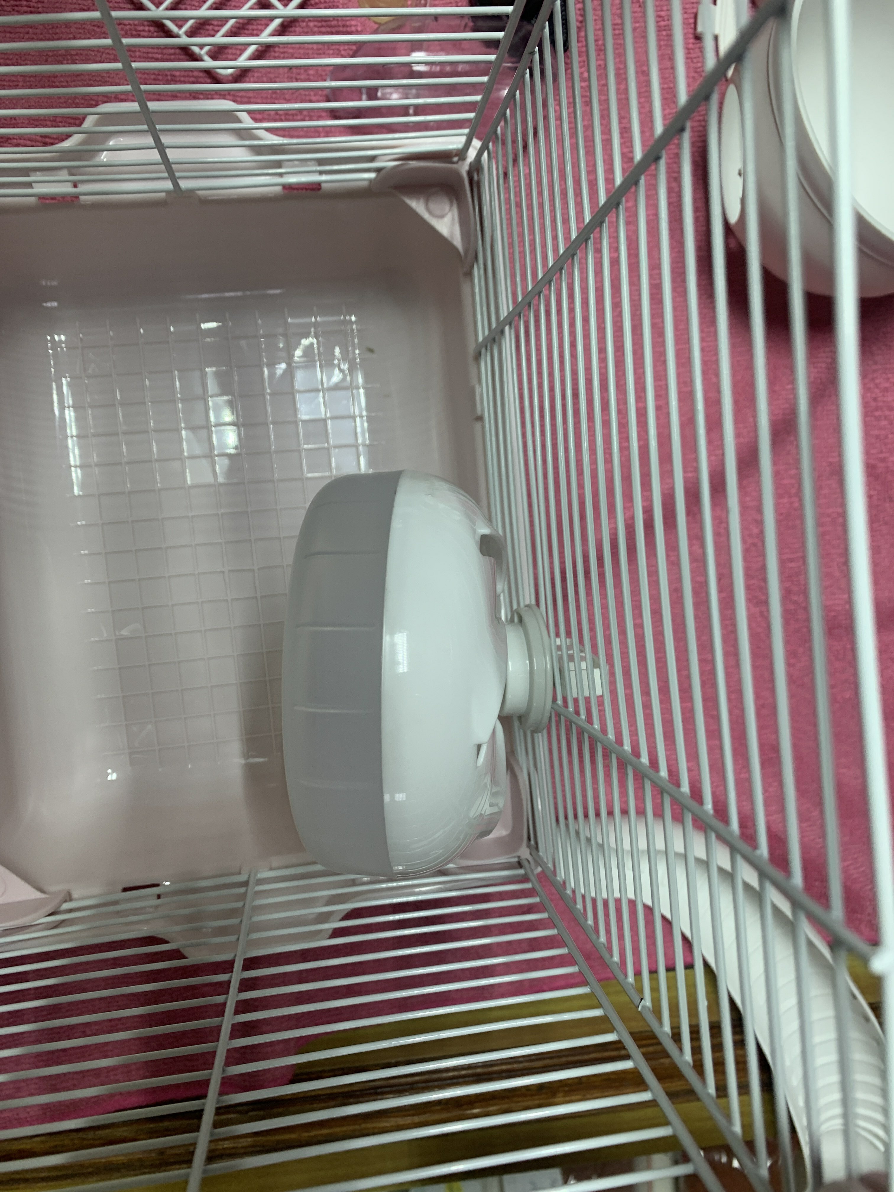 Фотография покупателя товара Клетка для грызунов укомплектованная, 23 х 19 х 28 см, розовая