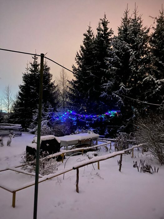 Фотография покупателя товара Гирлянда «Нить» 10 м, IP44, УМС, белая нить, 100 LED, свечение зелёное, 220 В - Фото 2