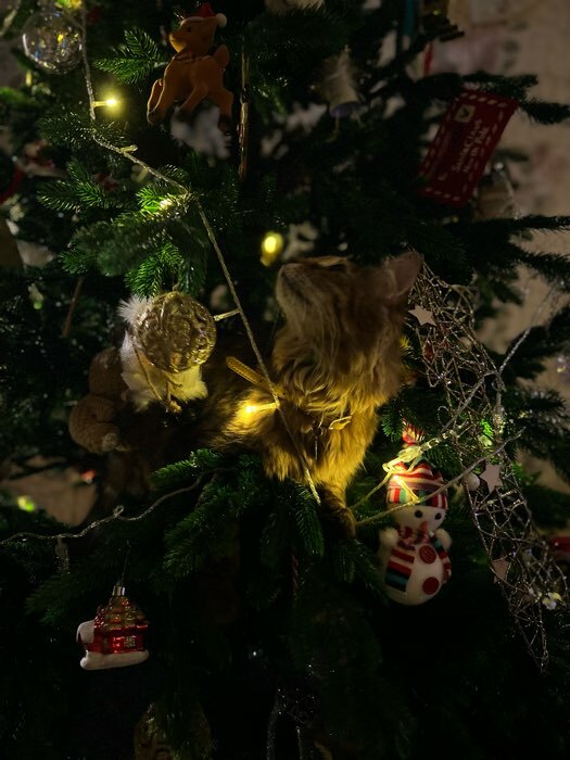 Фотография покупателя товара Ёлочные игрушки «Льдинка - мишура», шары новогодние, d=8 см, набор 6 шт., прозрачный - Фото 3