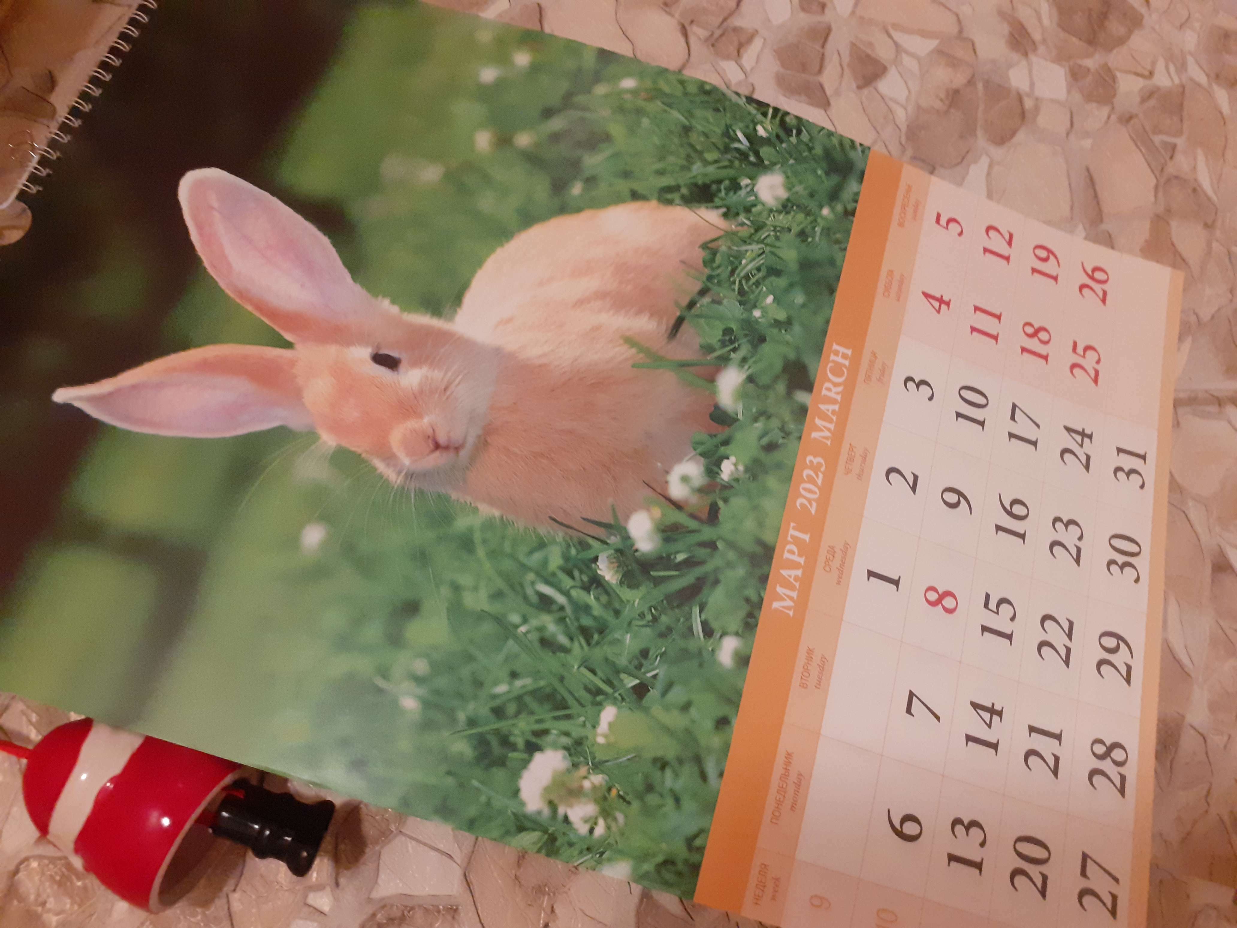Фотография покупателя товара Календарь перекидной на ригеле "Символ - 1" 2023 год, 32х48см - Фото 5
