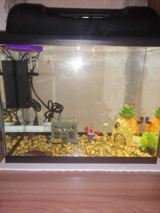 Фотография покупателя товара Грунт для аквариума " Галька золотистый металлик" галька декоративная  350 г фр.5-10 мм