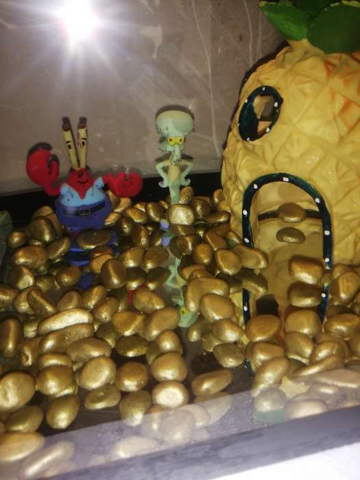 Фотография покупателя товара Грунт для аквариума " Галька золотистый металлик" галька декоративная  350 г фр.5-10 мм - Фото 1
