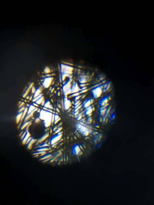 Фотография покупателя товара Микроскоп «Юный исследователь», со штативом для смартфона, увеличение х1200 - Фото 2