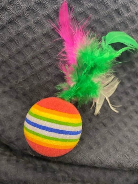 Фотография покупателя товара Набор из 2 игрушек "Полосатые шарики с перьями", диаметр шара 3,8 см, микс цветов - Фото 1