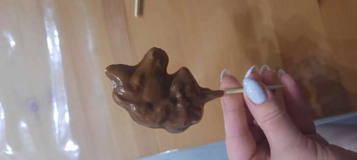 Фотография покупателя товара Форма для шоколада и конфет «Пони», 5 ячеек, 24×18.5×1 см, прозрачная - Фото 2