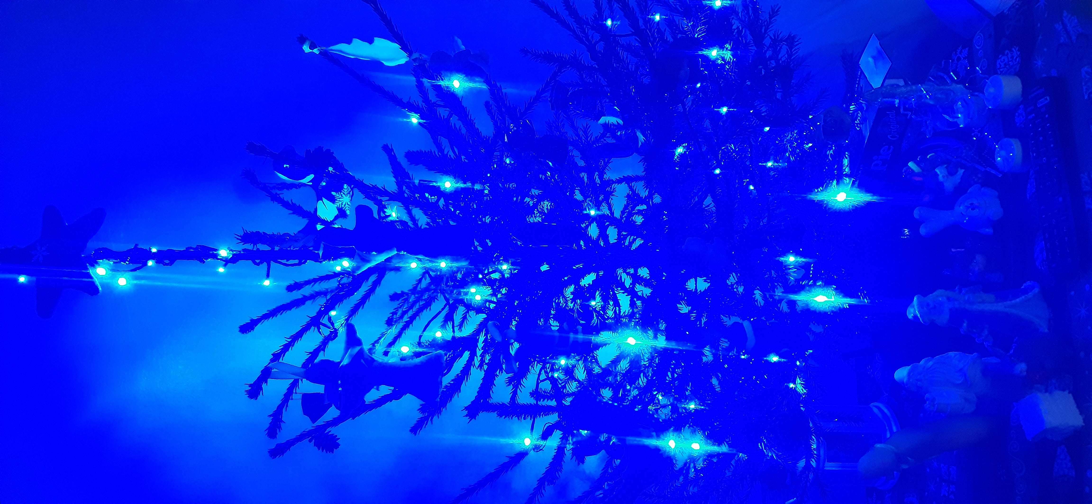 Фотография покупателя товара Гирлянда «Нить» 20 м, IP20, тёмная нить, 200 LED, свечение синее, 8 режимов, 220 В - Фото 16