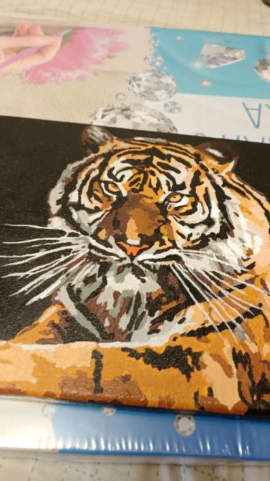Фотография покупателя товара Картина по номерам на холсте с подрамником «Тигр», 30х20 см - Фото 2