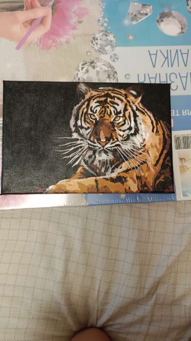 Фотография покупателя товара Картина по номерам на холсте с подрамником «Тигр», 30х20 см - Фото 1