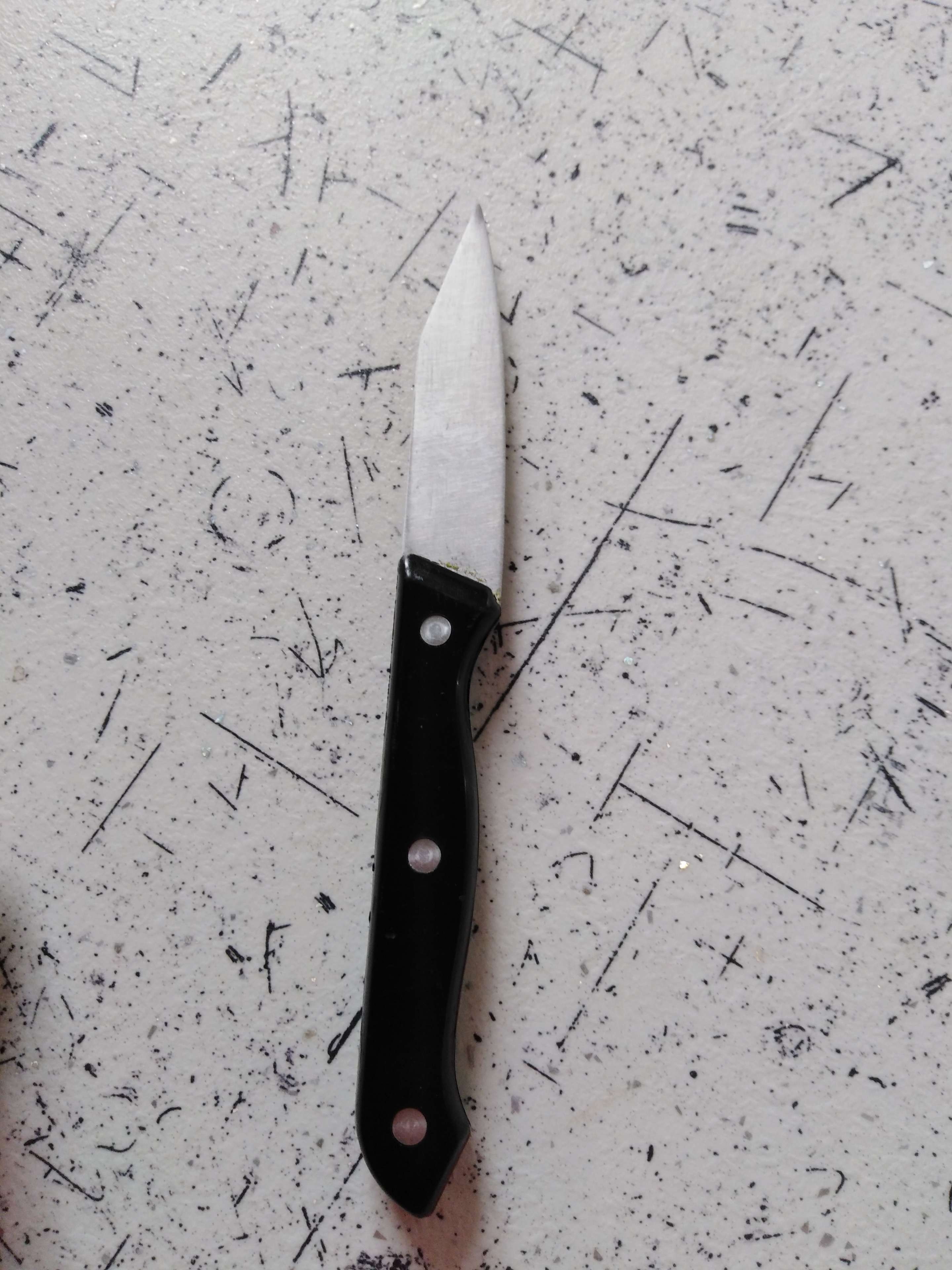 Фотография покупателя товара Нож для овощей кухонный Доляна «Универсал», лезвие 8 см, цвет чёрный - Фото 2