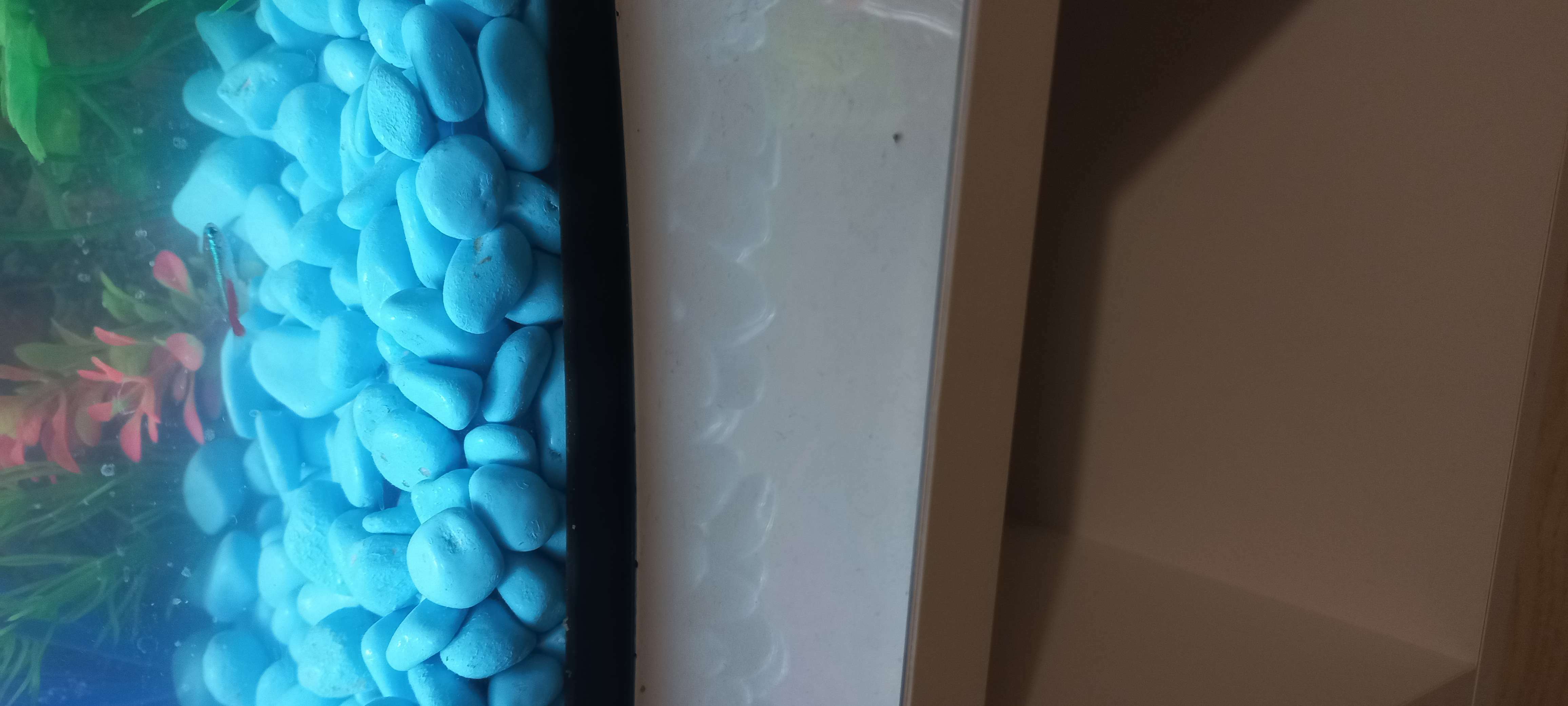 Фотография покупателя товара Грунт для аквариума "Галька цветная,  голубая" 800г фр 8-12 мм