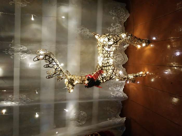 Фотография покупателя товара Светодиодная фигура «Олень золотистый» 35 × 60 × 10 см, металл, 220 В, мерцание, свечение тёплое белое - Фото 3