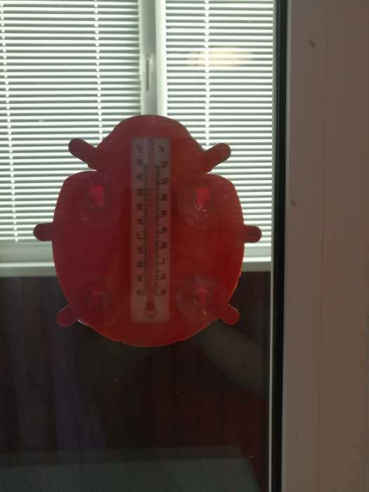 Фотография покупателя товара Пластиковый термометр оконный "Божья коровка" в пакете