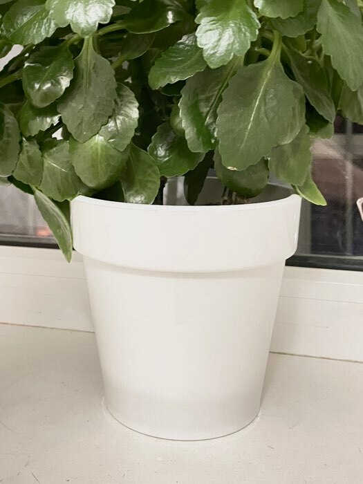 Фотография покупателя товара Кашпо для цветов со вставкой «Порто», 2,4 л, цвет белый - Фото 3
