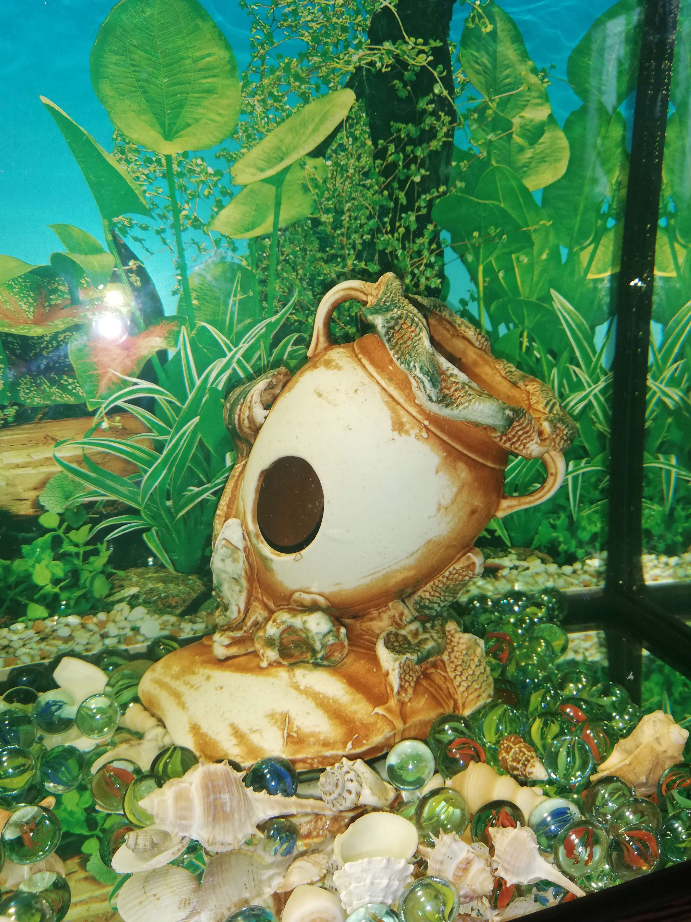 Фотография покупателя товара Декорация для аквариума "Амфора на ракушке", 12 х 15 х 16 см, микс - Фото 2