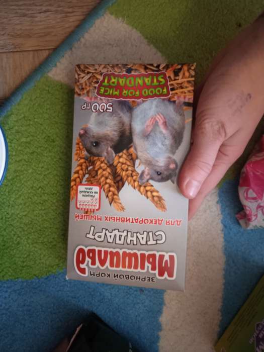 Фотография покупателя товара Корм зерновой «Мышильд стандарт» для декоративных мышей, 500 г, коробка - Фото 2
