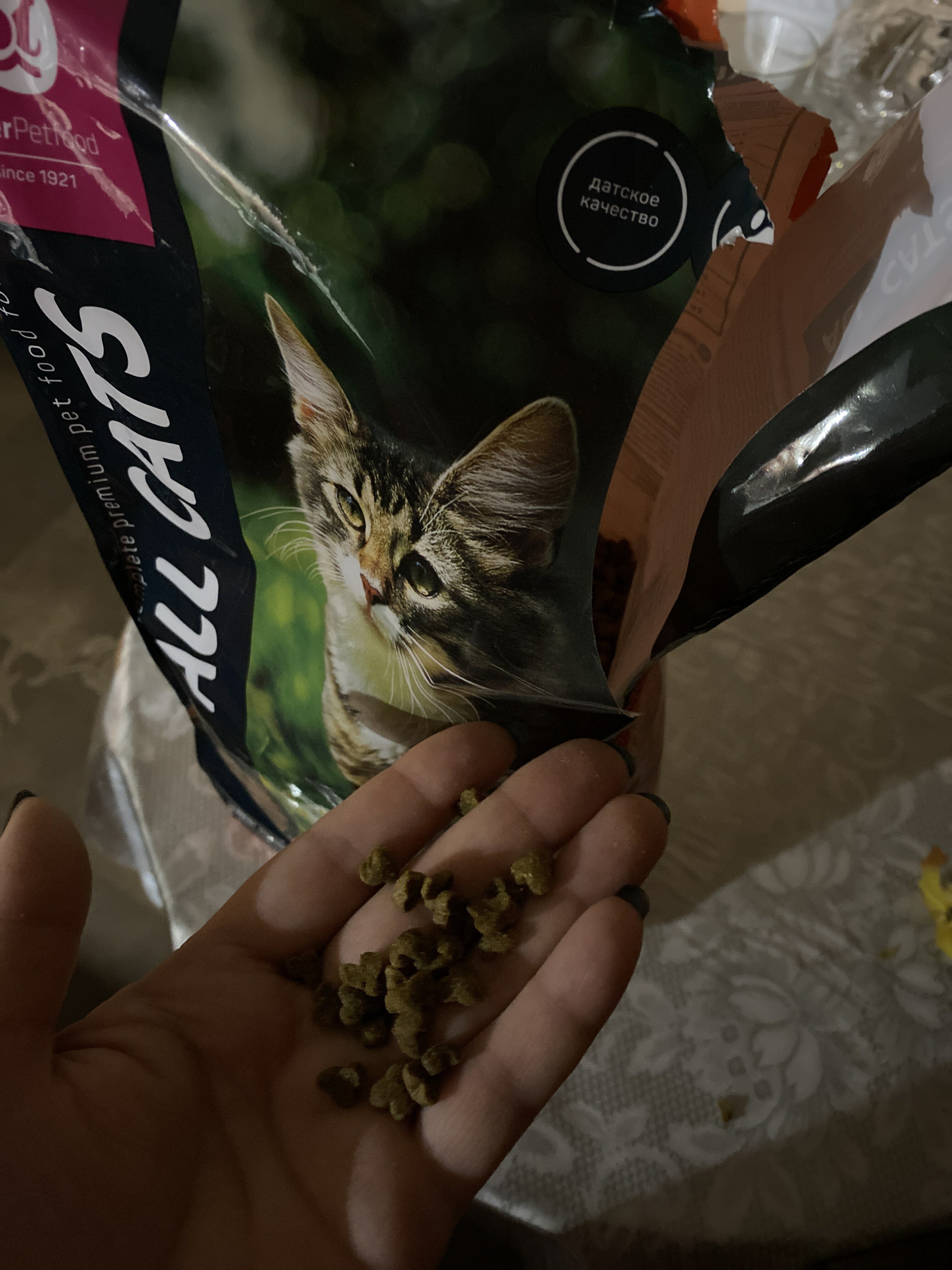 Фотография покупателя товара Сухой корм All cats для кошек, говядина и овощи, 2,4 кг - Фото 1